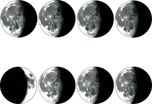 Moon Phases Illustration Set with Full to New Moon Cycle for Astronomy, Space, and Celestial Designs