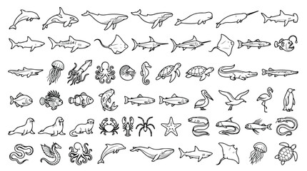 Minimalist sea life icons set, 60 marine animal line art vectors, black and white aquatic wildlife illustrations for educational infographics © Sidra