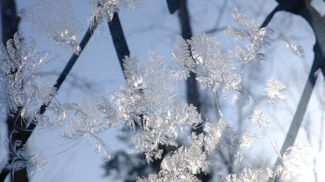Frost window glows softly in the winter light. Intricate icy traceries spread across the glass, delicate lace, capturing the quiet magic of a cold morning. Nature&rsquo;s own artwork, fragile and fleeting.