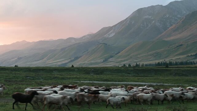 Pastoral Ballad on the Grassland: Flocks and Distant Hills Beneath the Sunset
