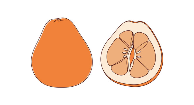 Whole orange-colored pomelo fruit next to a half cross-section revealing the segments and seeds in a simple line drawing.