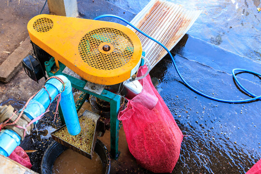 Industrial Coffee Pulper Machine Processing Raw Cherries At A Rural Farm Facility