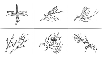 Fototapeta premium This image features a variety of insects including dragonflies, mayflies, and a praying mantis, showcasing their delicate features and natural habitats beautifully illustrated.