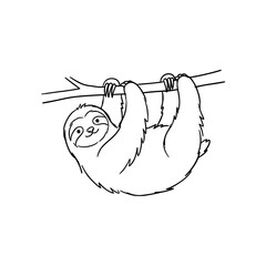 Fototapeta premium This adorable sloth hangs contentedly from a branch, epitomizing relaxation and a carefree lifestyle, reminding us of the joy in taking life slowly.