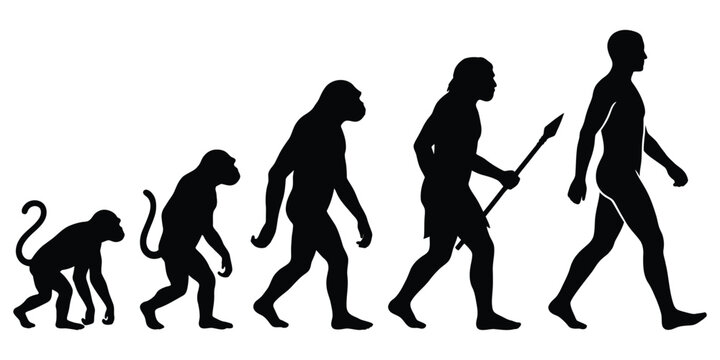 Human evolution stages from ape to modern man walking spear primitive ancestor progression.