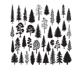 A diverse collection of various evergreen and deciduous tree silhouettes stands against a white background © BULBUL ISLAM