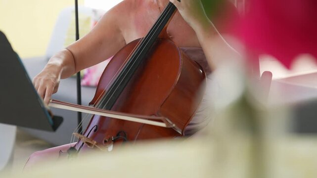 Female Cellist Playing Classical Cello Bow During Elegant Live Wedding Ceremony Performance In Soft Light