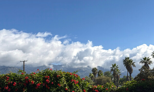 Springtime Landscape in Southern California