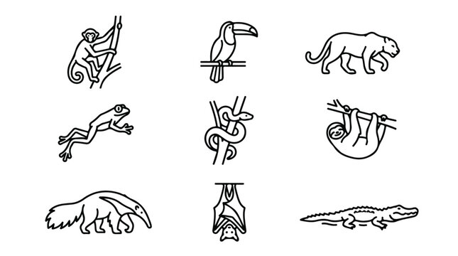 Tropical jungle animals icon set, 9 black line vector illustrations of rainforest wildlife, exotic zoo creature symbols for nature branding