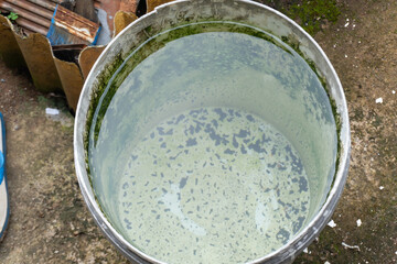 Fototapeta premium A bucket filled with a murky green liquid. Its surface shows floating dark spots and algae growth. The murky water pools and becomes a breeding ground for mosquito larvae.
