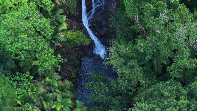 Stunning drone shot of Sauzier Waterfall in Port Glaud, Mahe. Captures cascading water surrounded by lush tropical palm trees and dense forest in the heart of the Seychelles islands. 30fps 003