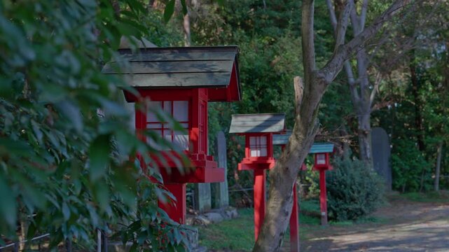 A row of red wooden shrine lanterns of varying sizes recedes along a quiet forest path, partially framed by lush green foliage in the foreground, creating a layered and atmospheric view of a secluded
