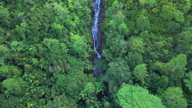 High-angle drone footage of Sauzier Waterfall in Port Glaud, Mahe, Seychelles. A hidden tropical cascade nestled within a lush, vibrant green jungle canopy and dense palm trees. 30fps 002