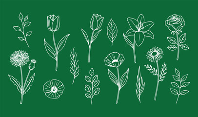 A beautiful collection of white hand-drawn botanical illustrations isolated on a solid green background. © crea8ive