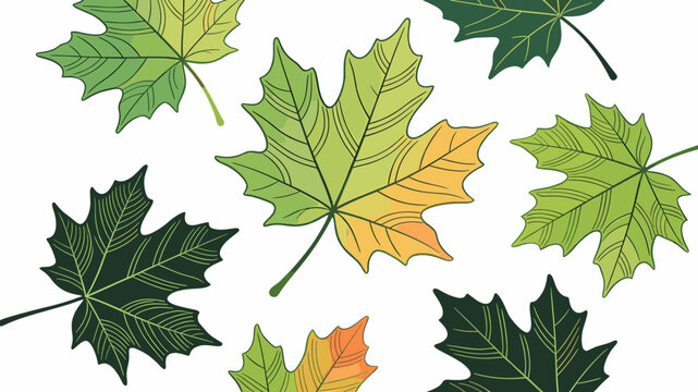 Stylized green and transitioning maple leaves scattered on a white background, depicting early autumn foliage.