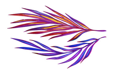 Colorful palm leaves watercolor set isolated on white. Hand drawn illustration  © AineGing
