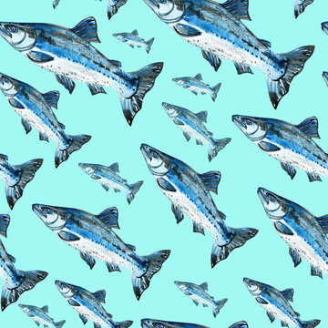 Sea fish salmon seamless pattern on blue background