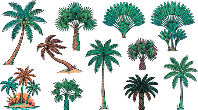 PrintTropical Palm Tree Vector Illustration Collection Featuring Hand Drawn Coconut Trees Travelers Palms Fan Palms and Exotic Beach Island Sunset Graphic Design Elements
