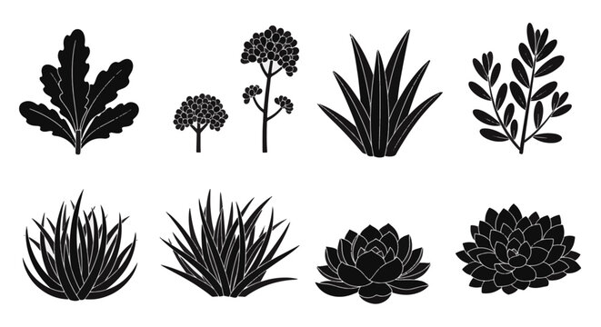 Set of flat black coastal plant icons including seaweed, seagrass, beach grass, and aquatic vegetation silhouettes isolated on white background for graphic design and branding.
