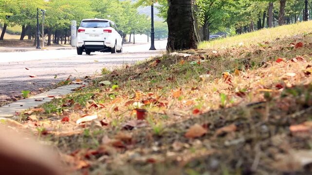 승합차 주행 공원 도로 뒷모습 교통수단 서울: 대한민국 서울의 푸른 가로수가 우거진 공원 도로를 달리는 흰색 승합차의 후면 주행 영상입니다. 도로변 언덕 잔디밭과 낙엽 너머로 멀어지는 차량의 뒷모습을 로우 앵글로 담았으며, 교외 드라이브 여행, 주말 가족 나들이, 여유로운 서행 및 도시 공원 라이프스타일을 상징하는 실외 장면입니다.
