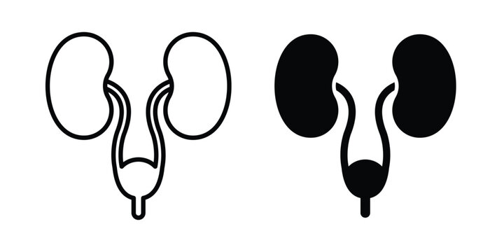 Urinary System icon - web black vector design.