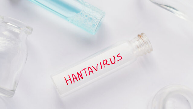 Hantavirus refers to a family of viruses spread mainly by rodents (such as mice and rats). It can cause severe, sometimes fatal, illnesses in humans.