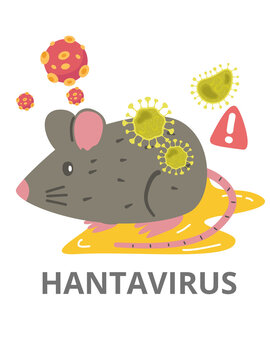 Hantavirus refers to a family of viruses spread mainly by rodents (such as mice and rats). It can cause severe, sometimes fatal, illnesses in humans.