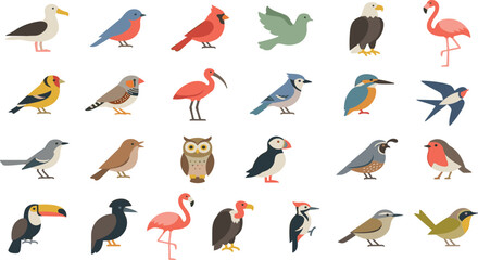 Fototapeta premium Colorful Bird Species Collection Featuring Flamingo Toucan Owl Puffin Eagle Robin and Tropical Flying Birds in Flat Vector Illustration Set