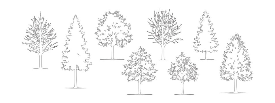 Minimalist tree line art collection, 8 architectural tree symbols in thin stroke, botanical outline vector set for landscape design and site plans