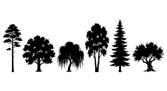 Diverse deciduous and coniferous trees in silhouette against a clean white background vector set