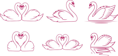 Elegant outline drawing of swans in various poses, forming heart shapes and on water, symbolizing love and romance for design. © Sadhin