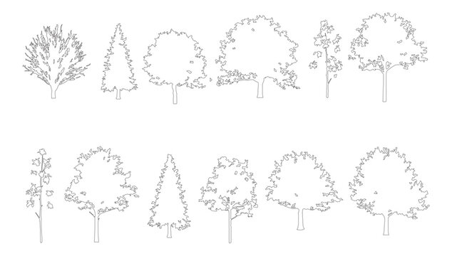 Set of vector trees with a vintage black floral border and elegant decorative leaf design elements for a wedding invitation pattern