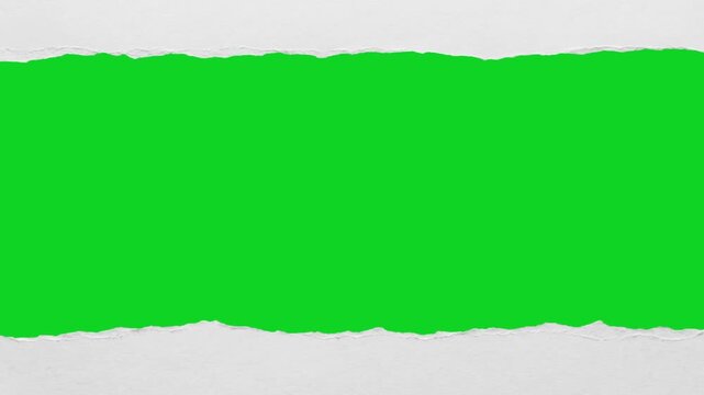 Curled smooth white paper vertical open revealing animated on a green screen chroma key background. It gives a high quality professional template design element for video compositing motion