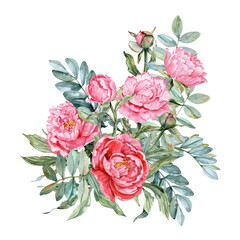 Fototapeta premium Hand drawn bouquet with red and pink peonies, buds and Zamiokulkas branches