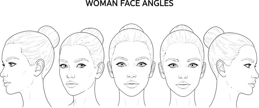Woman face angles illustration showing profile and front views