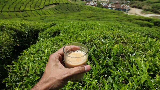 Man hand holding drinking a glass of  tea in front of  Tea Plantation Munnar, Kerala, India. breathtakingly beautiful haven of peace and tranquility idyllic tourist destination in Kerala India