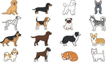 Dog Breed Collection Vector Illustration Featuring Labrador Dachshund Poodle Bulldog Corgi and Popular Pet Dogs © Jahangir