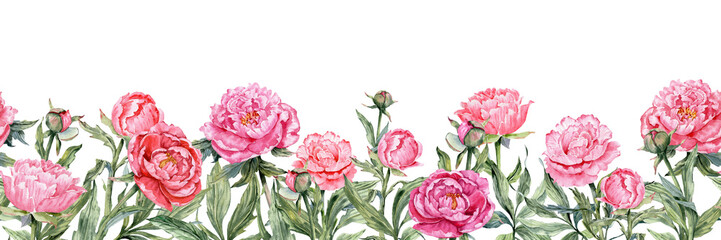 watercolor painted peonies in the bottom seamless border © ARTBRUSH