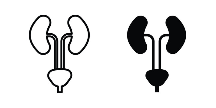 Urology icon liner logo vector