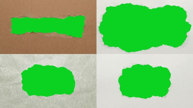 Collage four small peeling gap paper reveals revealing animated on a green screen chroma key background. It gives a high quality professional template design element for video compositing motion