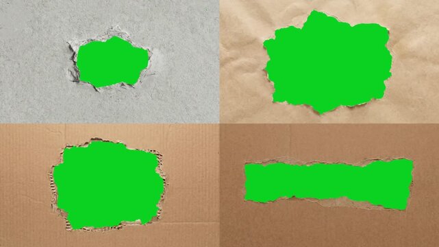 Collage four crumpled jagged hole torn papers revealing animated on a green screen chroma key background. It gives a high quality professional template design element for video compositing motion