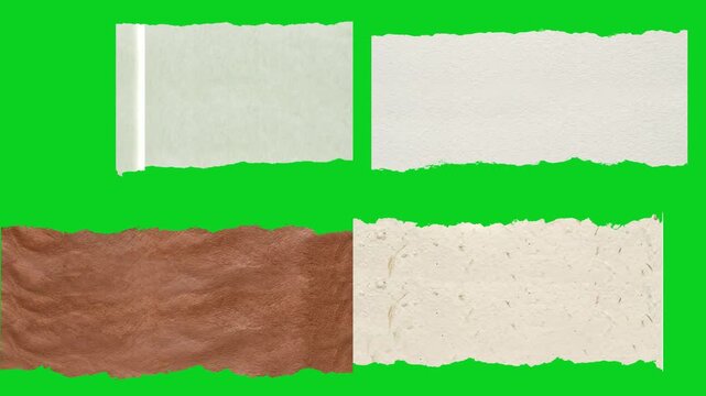 Collage four mixed peeling rolling paper strips revealing animated on a green screen chroma key background. It gives a high quality professional template design element for video compositing