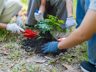 Fototapeta premium Asian volunteers planting trees for environmental conservation sustainable eco project to Save World