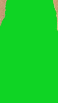 Vertical torn brown craft paper split center up revealing animated on a green screen chroma key background. It gives a high quality professional template design element for video compositing