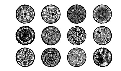 Tree Trunk Cross Section Sketch Set © SABBIRAHMAD