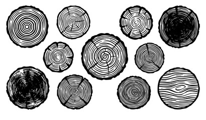 Tree Trunk Cross Section Sketch Set © SABBIRAHMAD