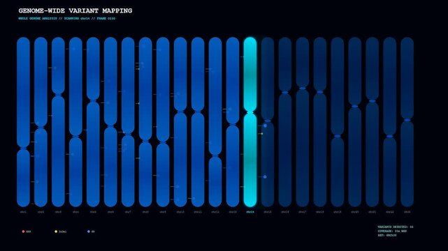 An interface showing CRISPR Genome Editing technology scanning human chromosomes while highlighting genetic variants and sequence mutations during a dynamic whole genome mapping process.