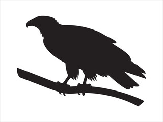 Fototapeta premium Steller's Sea Eagle sitting on the branch in silhouette flat vector illustration isolated design