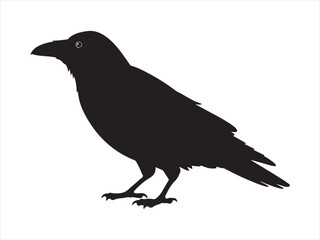 Fototapeta premium Crow vector silhouette isolated on white background vector illustration