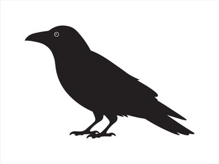 Fototapeta premium Crow vector silhouette isolated on white background vector illustration